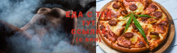 гашик Мегион