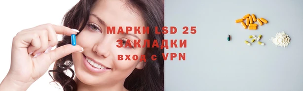 ECSTASY Медвежьегорск