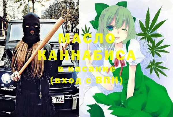 гашик Мегион