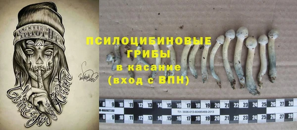 таблы Медногорск