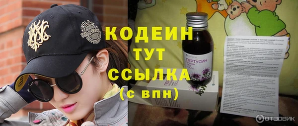 гашик Мегион