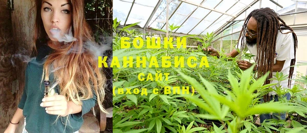 ECSTASY Медвежьегорск