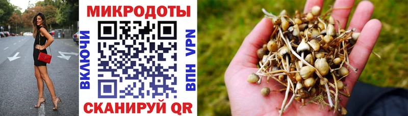 наркошоп Новошахтинск Галлюциногенные грибы мицелий