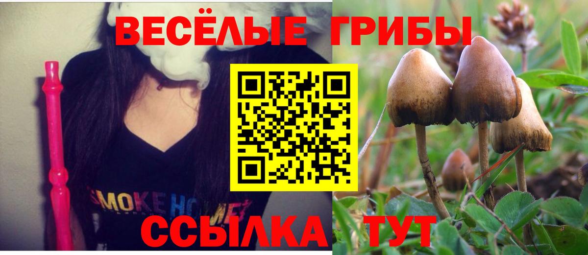 Галлюциногенные грибы мухоморы  наркота  Вход с VPN  Новошахтинск  Галлюциногенные грибы MAGIC MUSHROOMS 