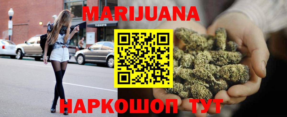 Каннабис сатива Новошахтинск
